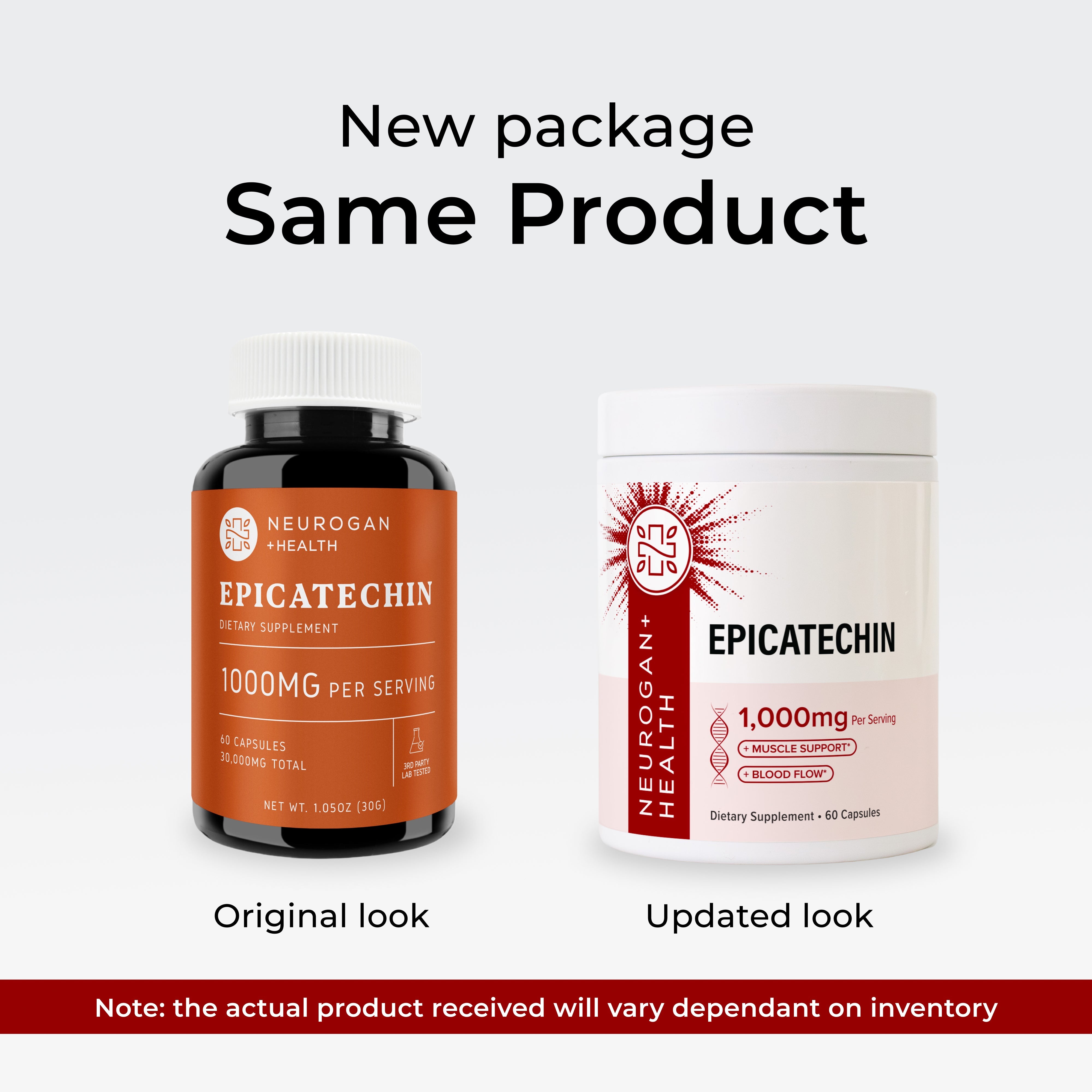 Epicatechin Supplement