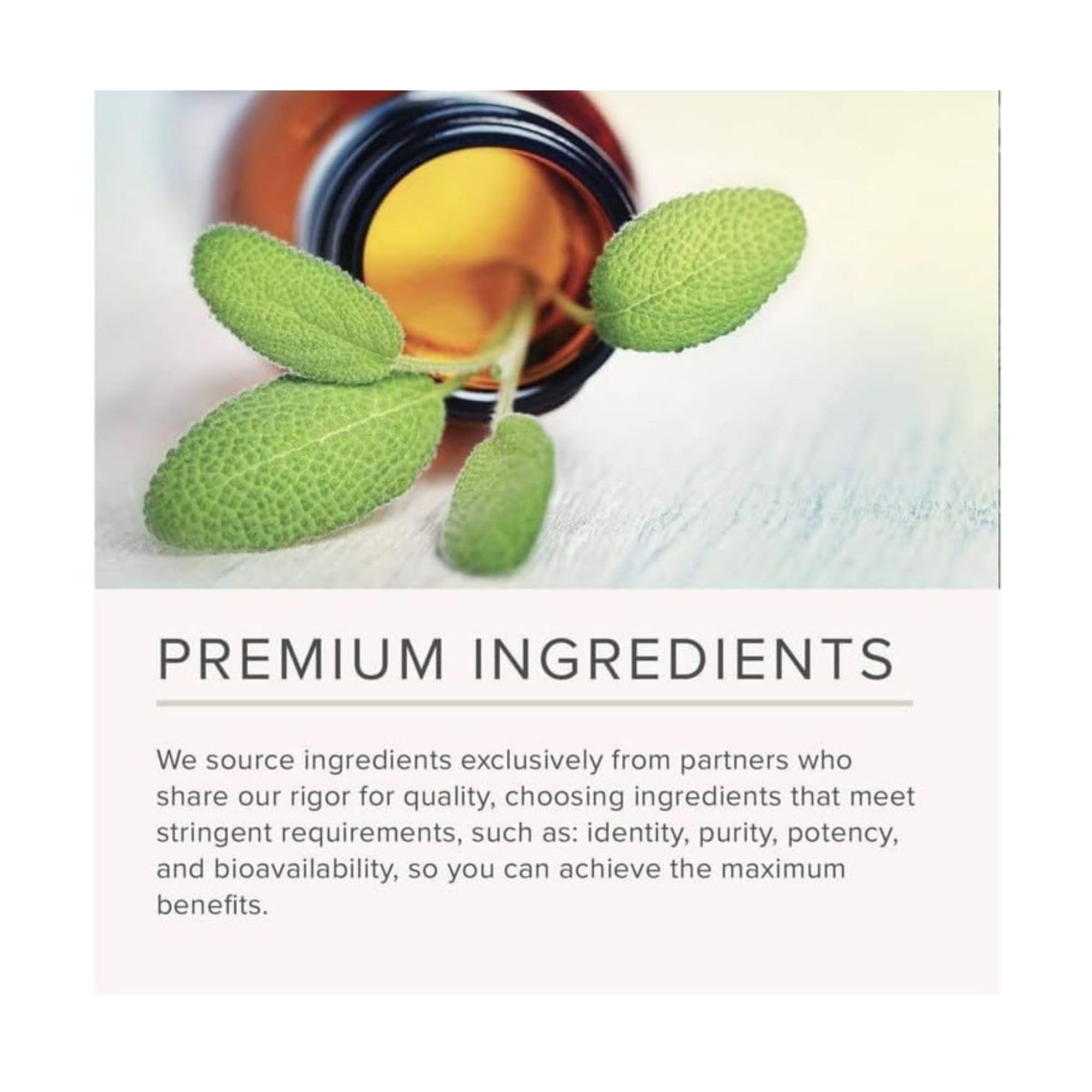 NusaPure Mullein Leaf Extract 500mg 150 Vegan Capsules