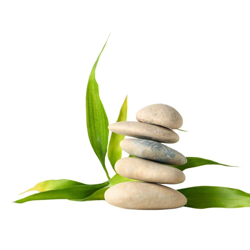 A stack of five smooth stones balanced on green bamboo leaves against a solid white background.
